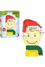 Peanuts Charlie Brown Brick Building Set