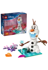 Lego Olaf and Bruni’s Picnic Fun