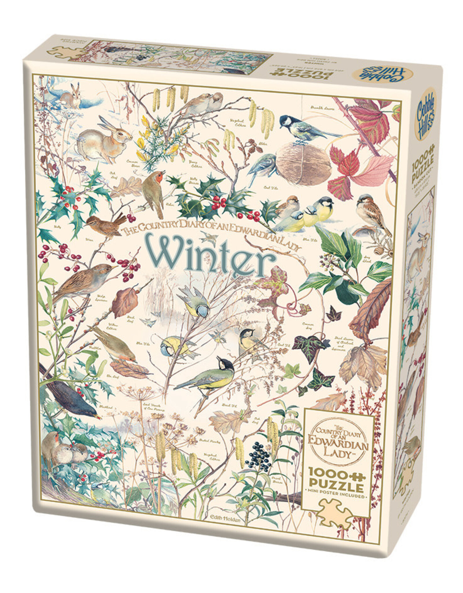 Cobble Hill Country Diary: Winter 1000 pc