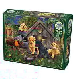 Cobble Hill In the Doghouse 1000 pc