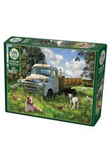 Cobble Hill Sheep Field 1000 pc