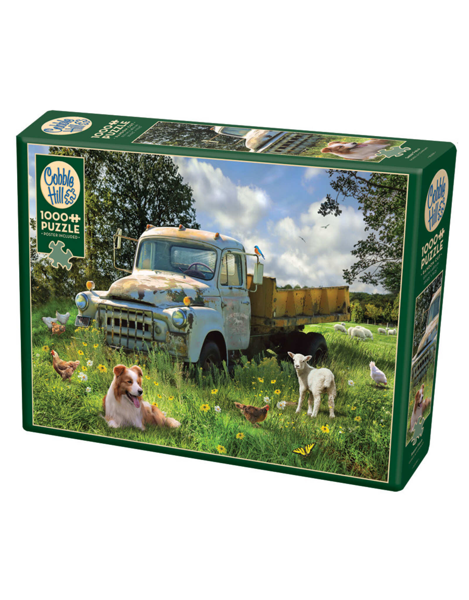 Cobble Hill Sheep Field 1000 pc