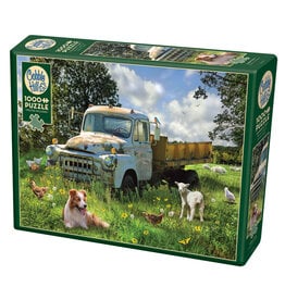 Cobble Hill Sheep Field 1000 pc