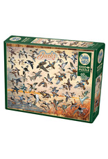 Cobble Hill Ducks of North America 1000 pc