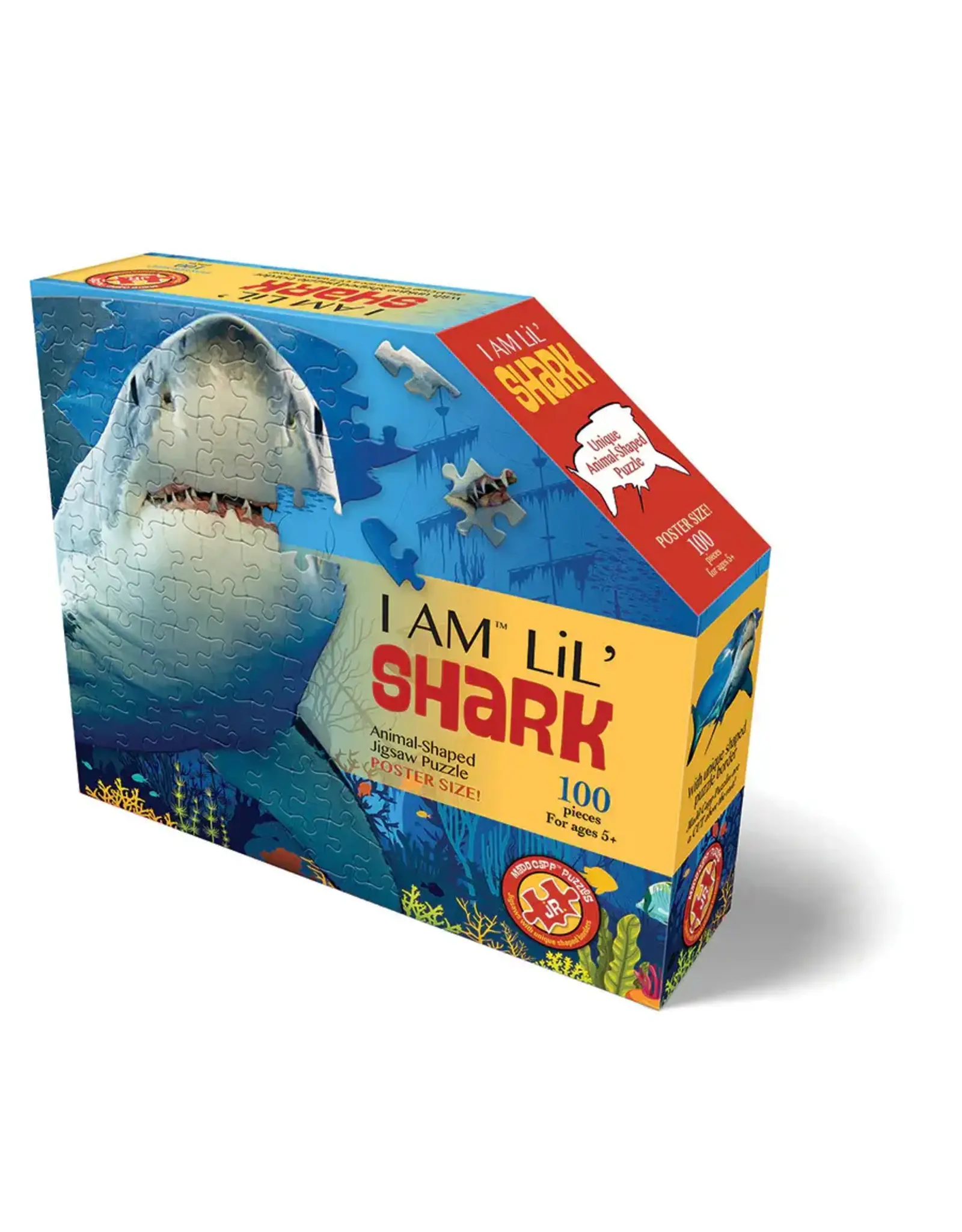I AM Lil' Shark 100pc