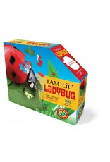 I AM Lil' Ladybug 100pc