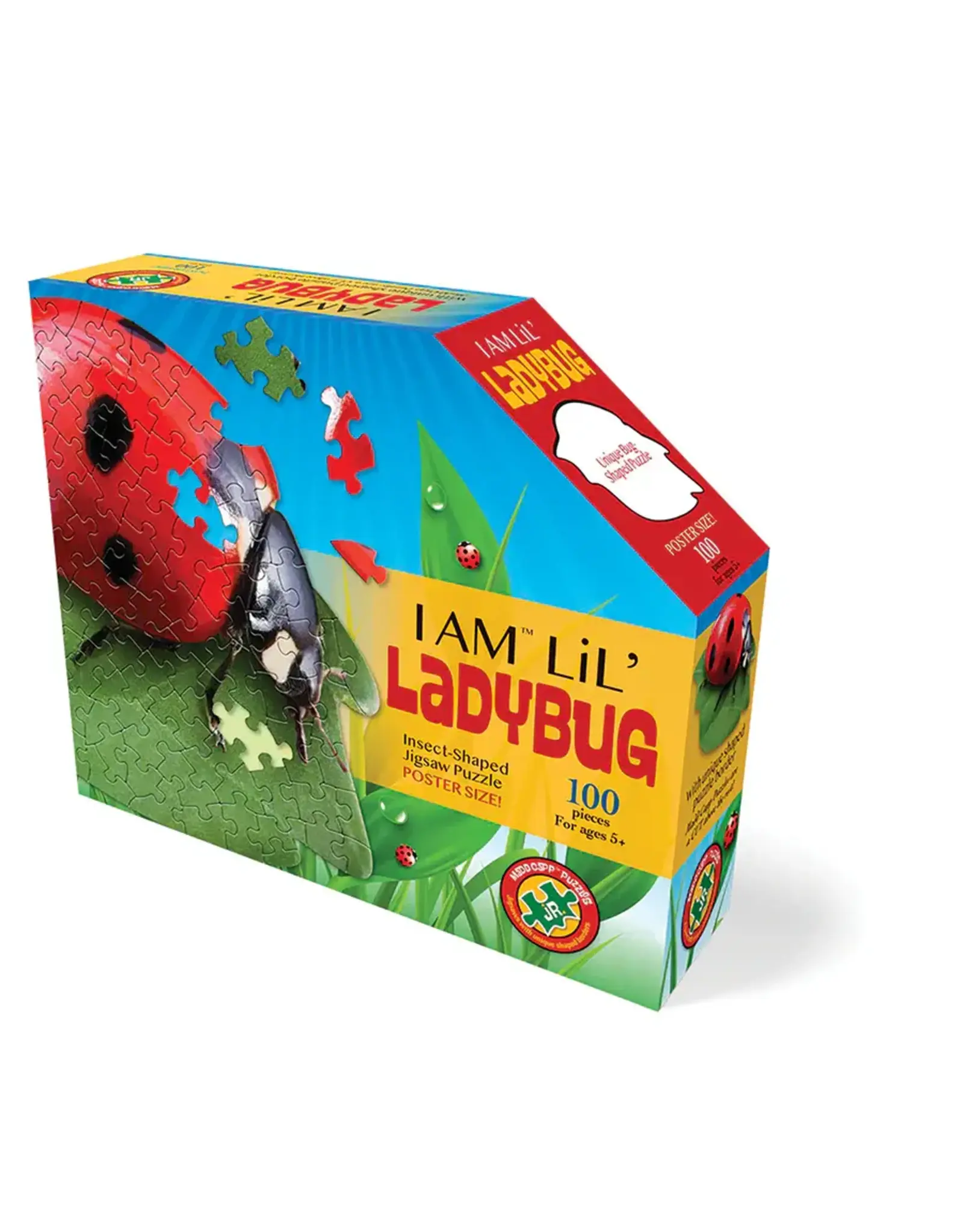 I AM Lil' Ladybug 100pc
