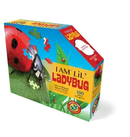 I AM Lil' Ladybug 100pc