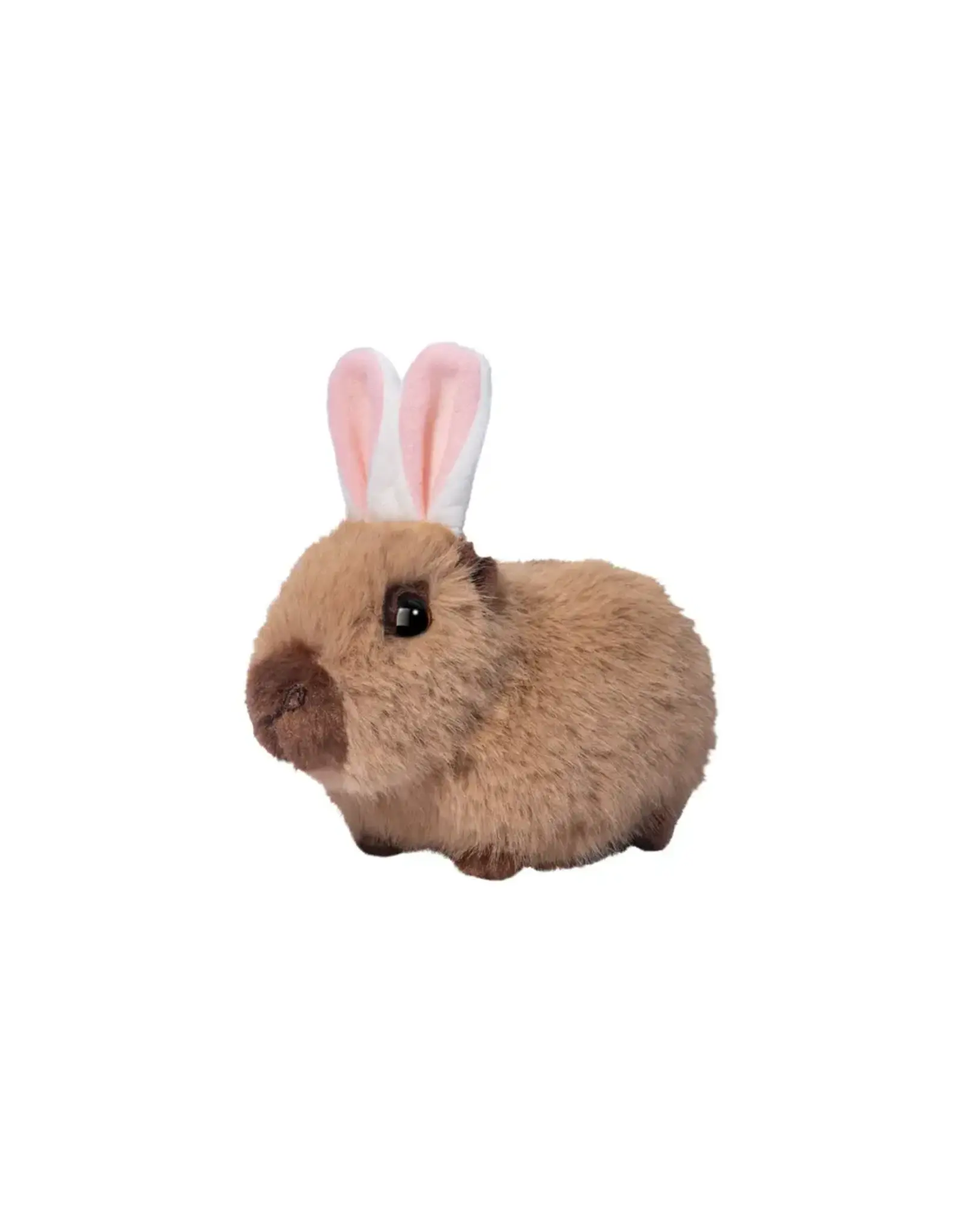 Douglas Capybara with Bunny Ears