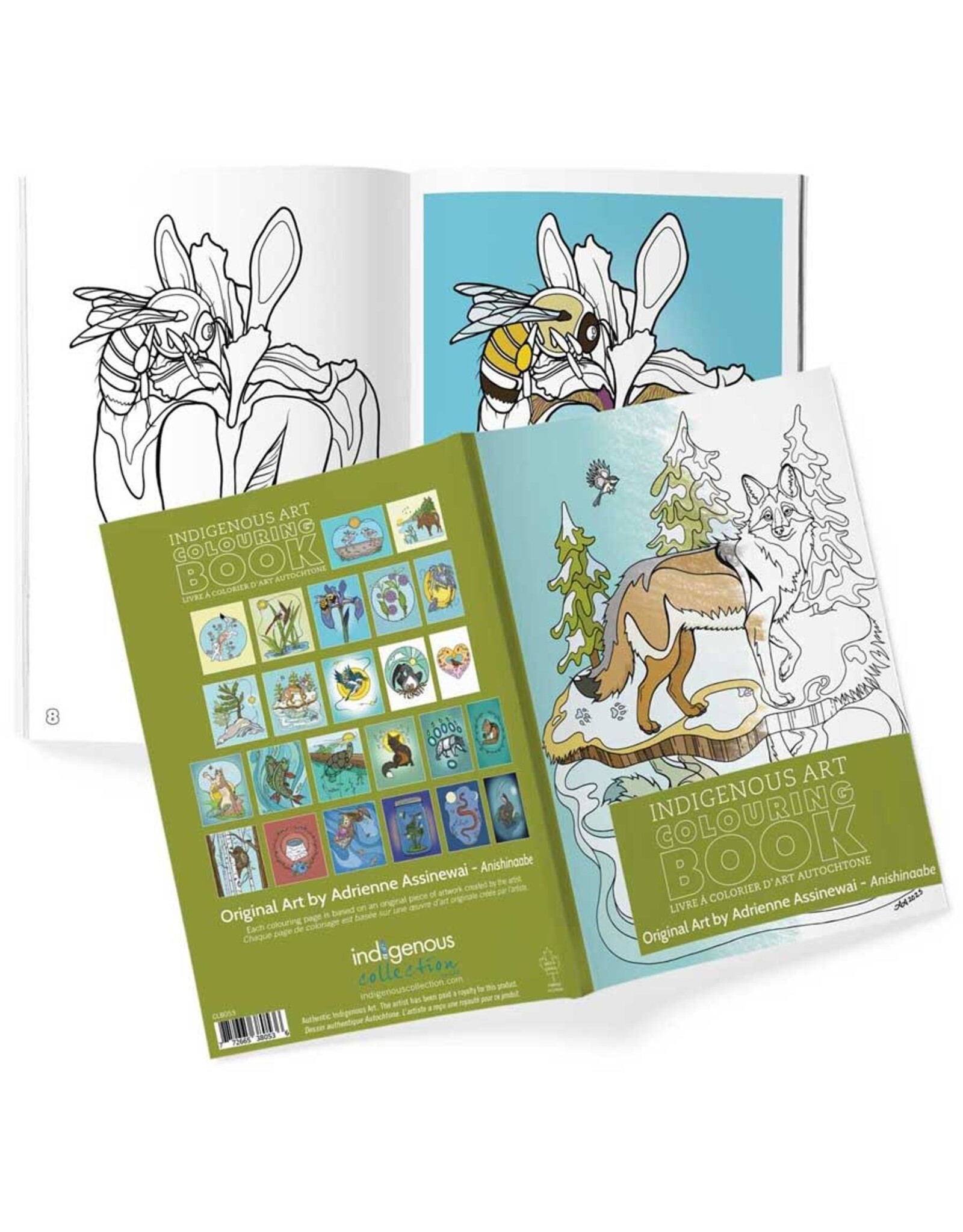 Indigenous Collection Spring Greeting Colouring Book
