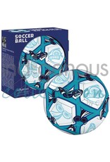 Indigenous Collection Chantelle Trainor-Matties Soccer Balls