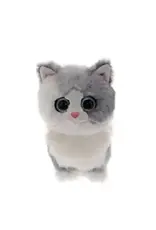 Ty Furley - Cat Gray Reg