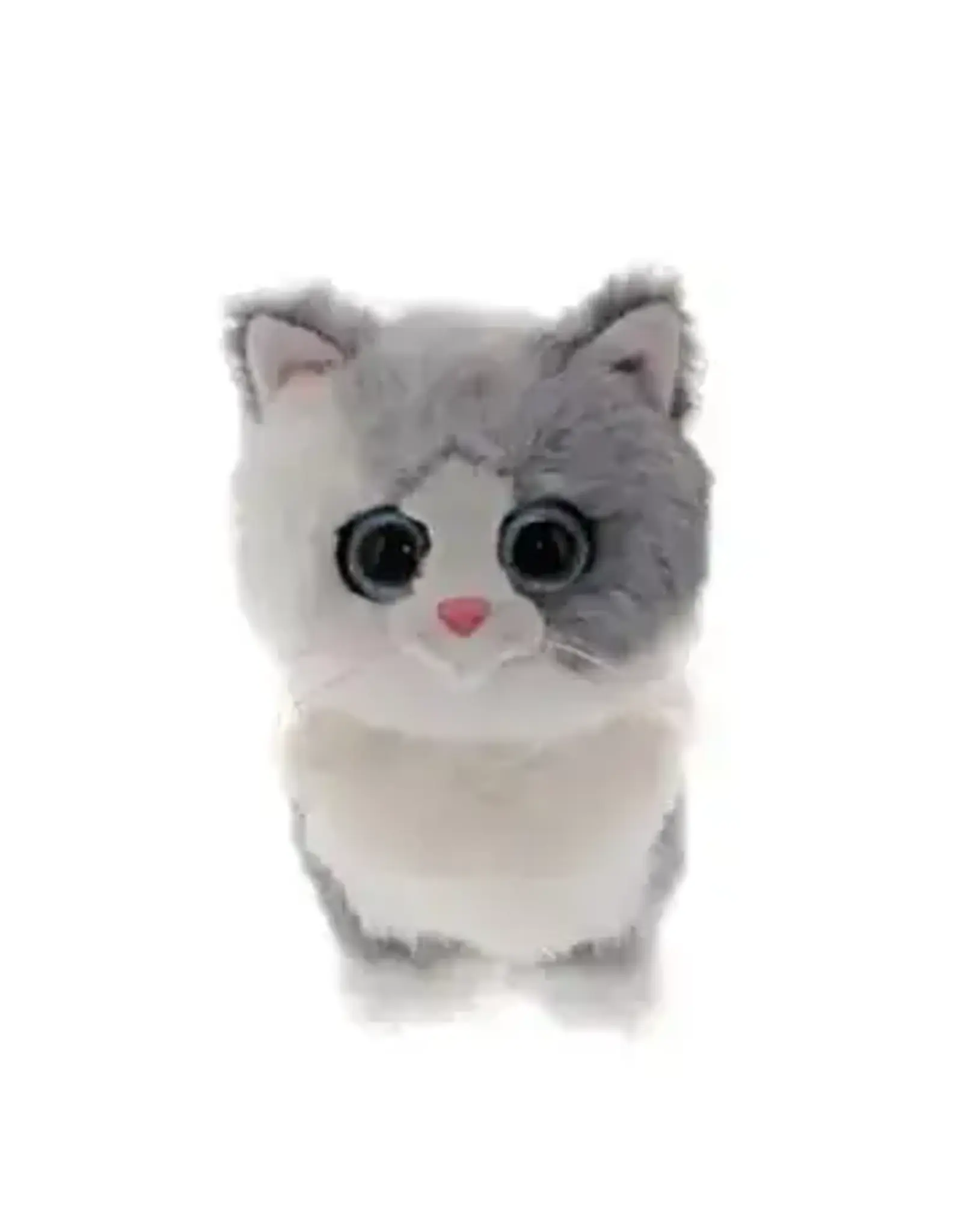 Ty Furley - Cat Gray Reg