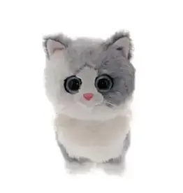 Ty Furley - Cat Gray Reg