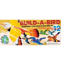 Build-a-Bird Kit Assorted