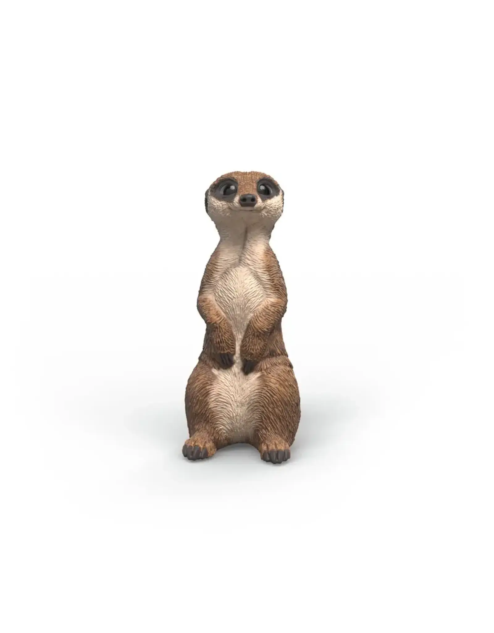 Schleich Meerkat