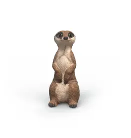 Schleich Meerkat
