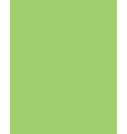 Design Design Solid Tissue Paper-Citrus Green