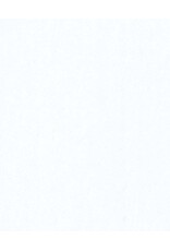 Design Design Sparkle Tissue Paper-White