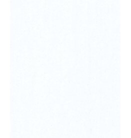 Design Design Sparkle Tissue Paper-White