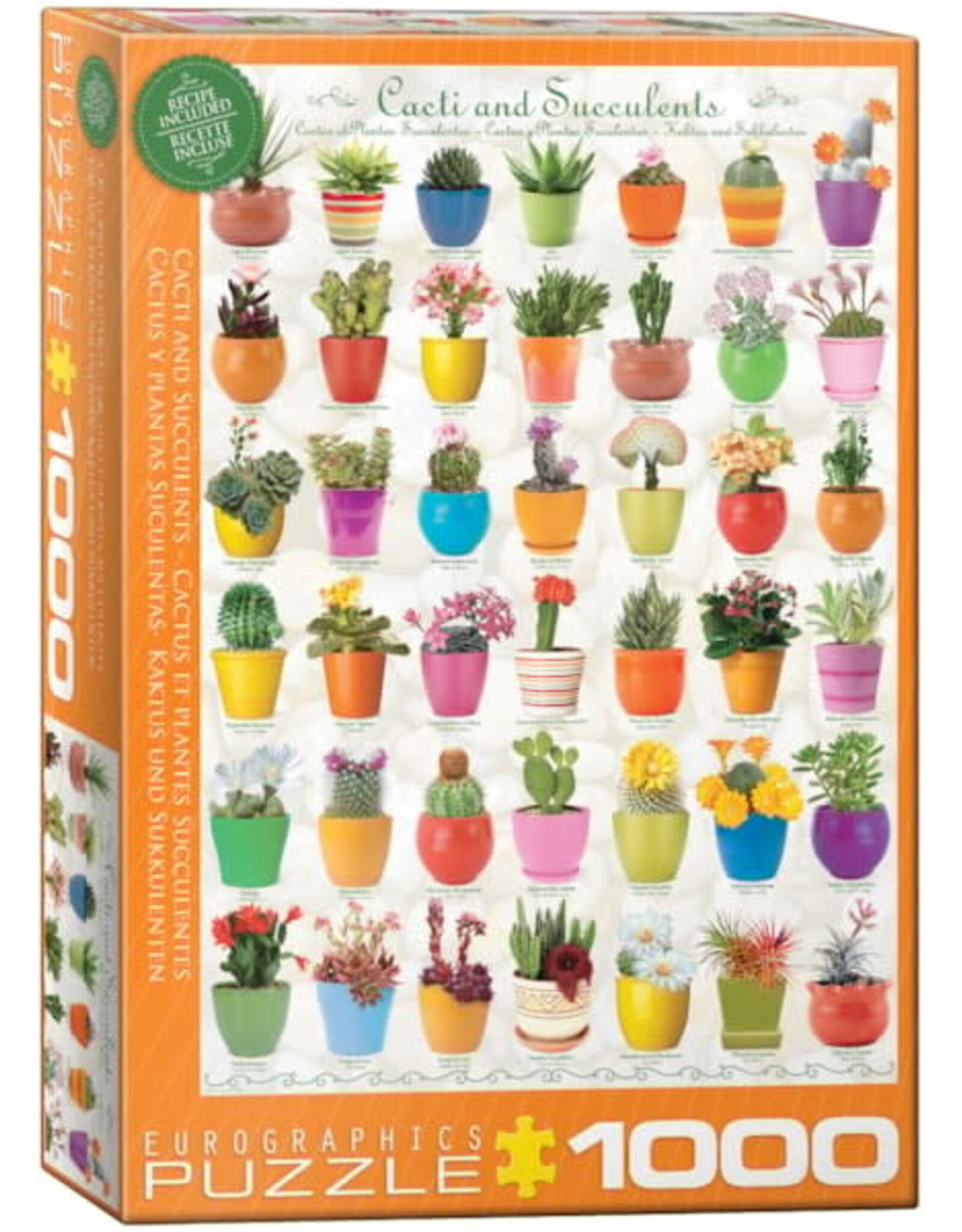 Eurographics Cacti & Succulents 1000pc