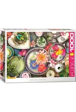 Eurographics Zen Spa 1000pc