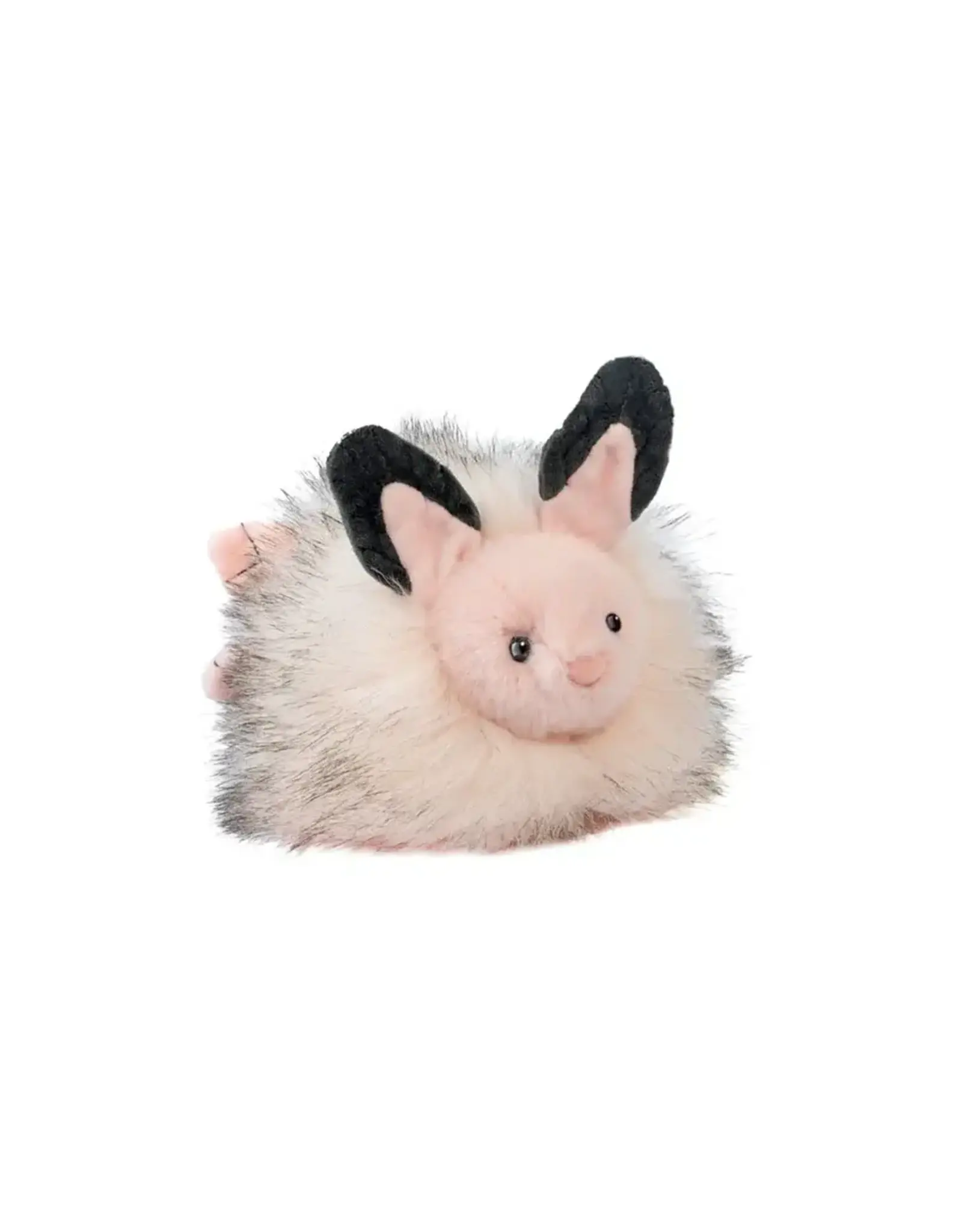 Douglas Skimmer Sea Bunny