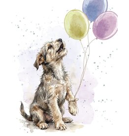 Up, Up, Pup Gift Enclosure