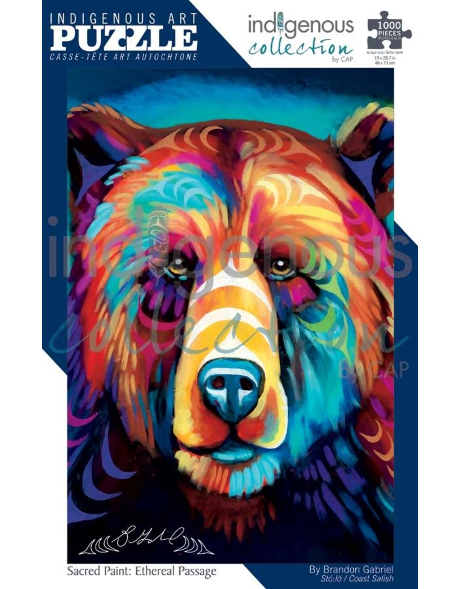 Indigenous Collection Sacred Paint: Ethereal Passage 1000pc