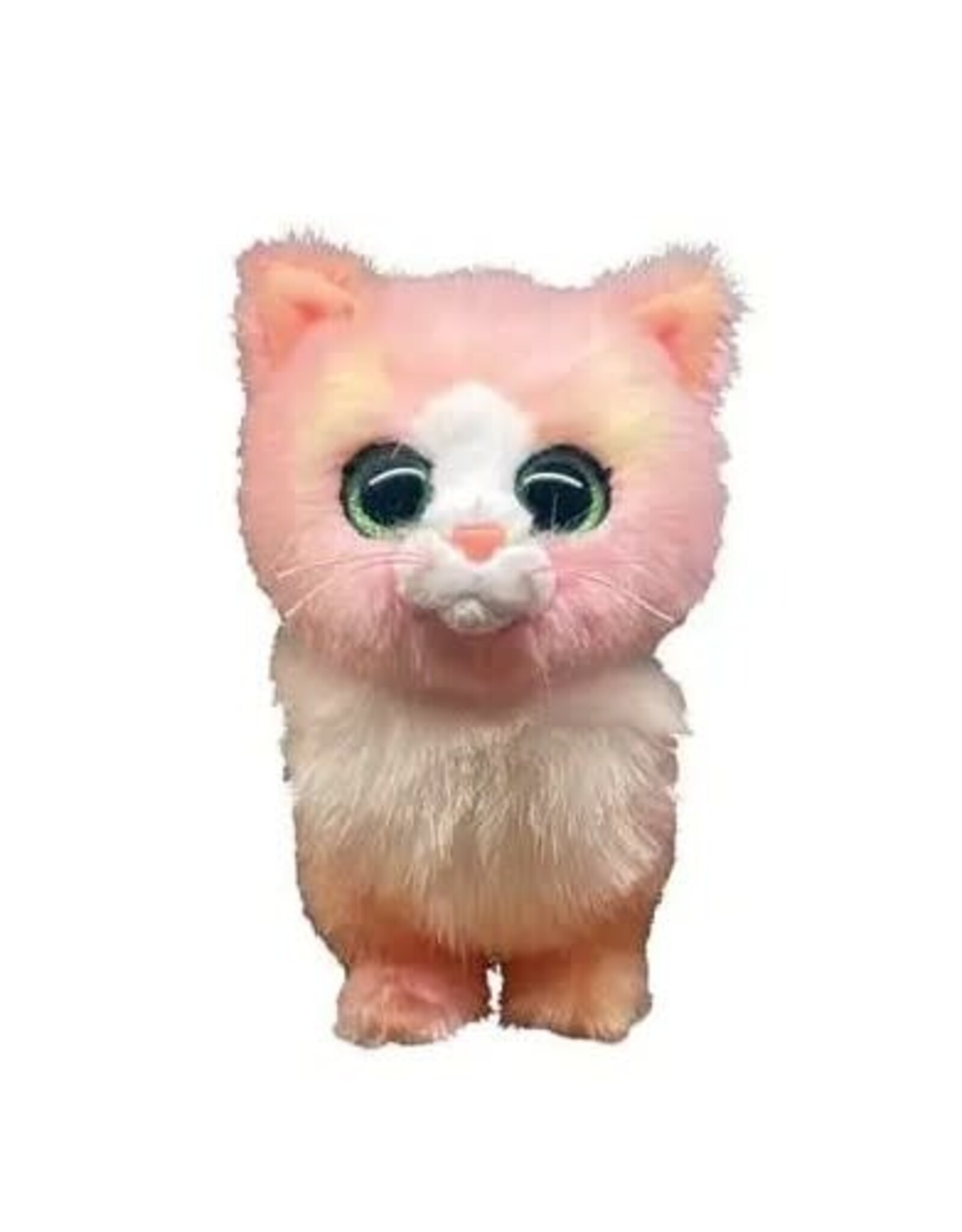 Ty Lady - Pink Cat Reg