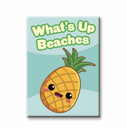 NMR Kawaii Foods Pineapple Flat Magnet