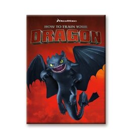 NMR How to Train Your Dragon – Toothless Flat Magnet