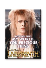 NMR Labyrinth – My World Flat Magnet