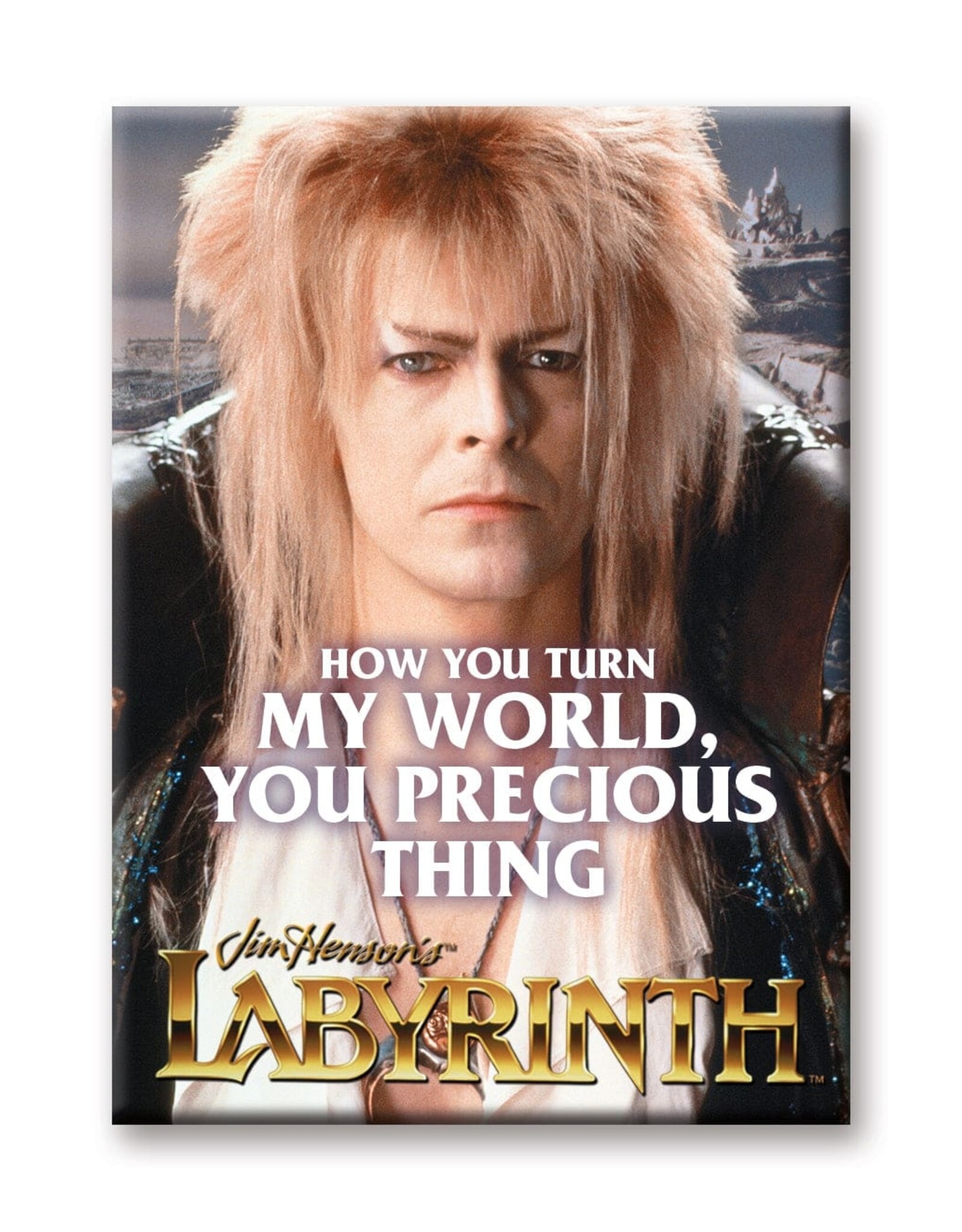 NMR Labyrinth – My World Flat Magnet