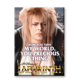 NMR Labyrinth – My World Flat Magnet