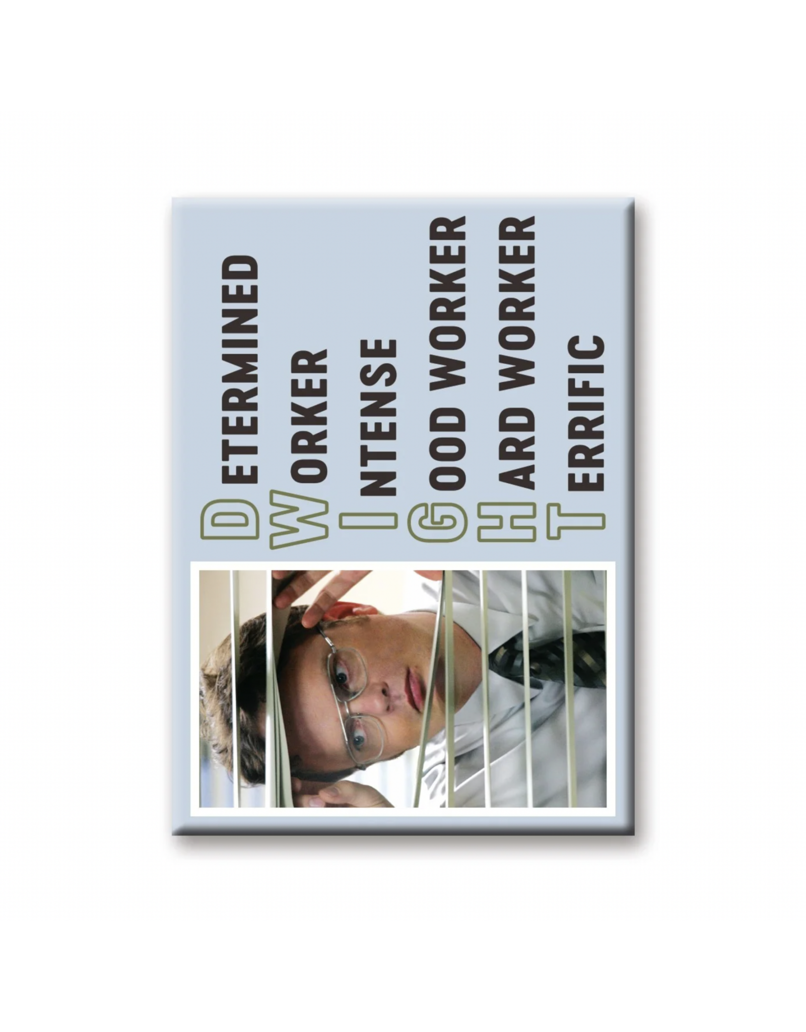 NMR The Office Dwight Flat Magnet