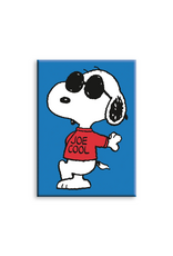 NMR Joe Cool Lean Flat Magnet