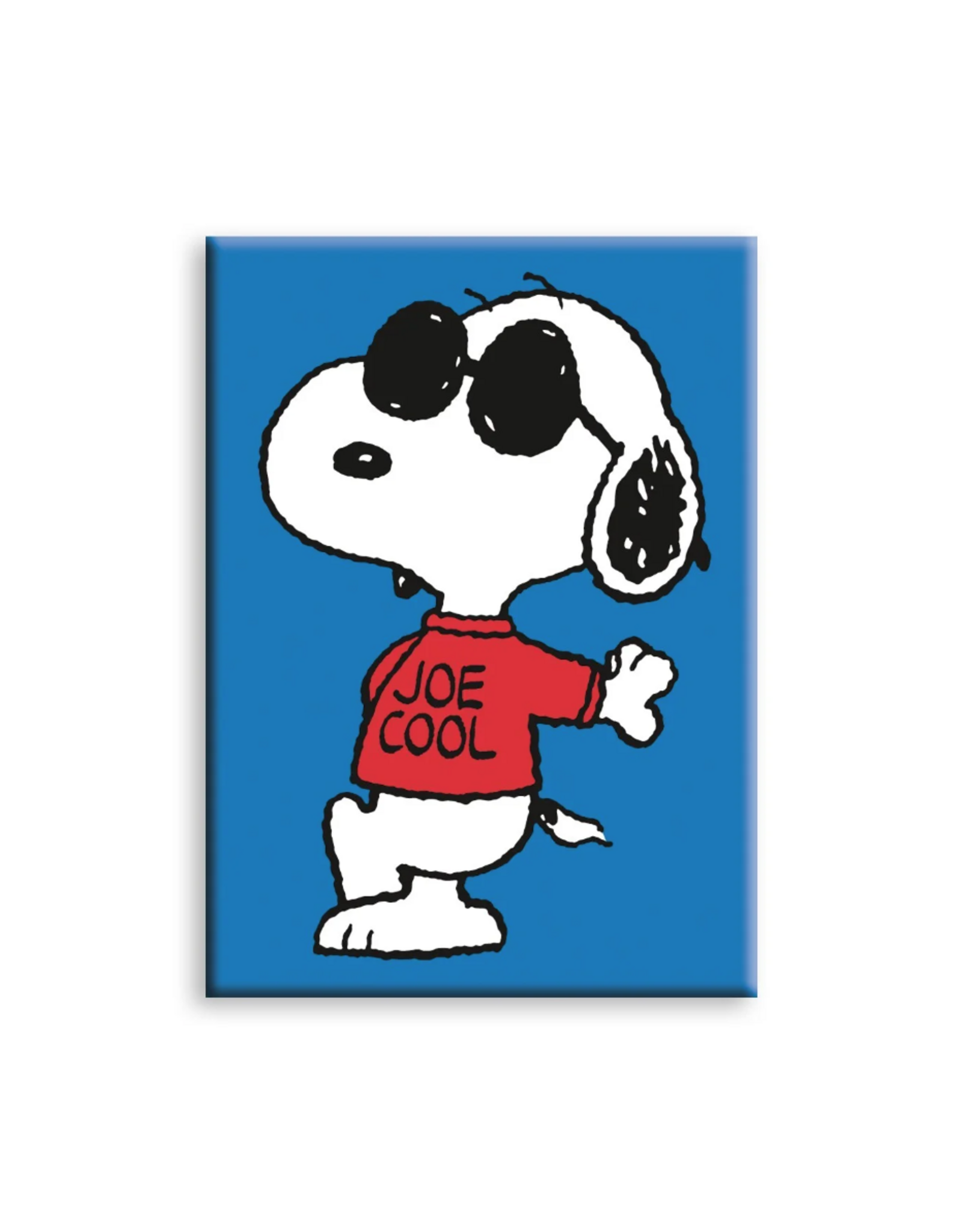 NMR Joe Cool Lean Flat Magnet