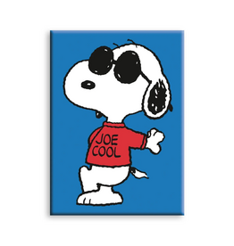 NMR Joe Cool Lean Flat Magnet