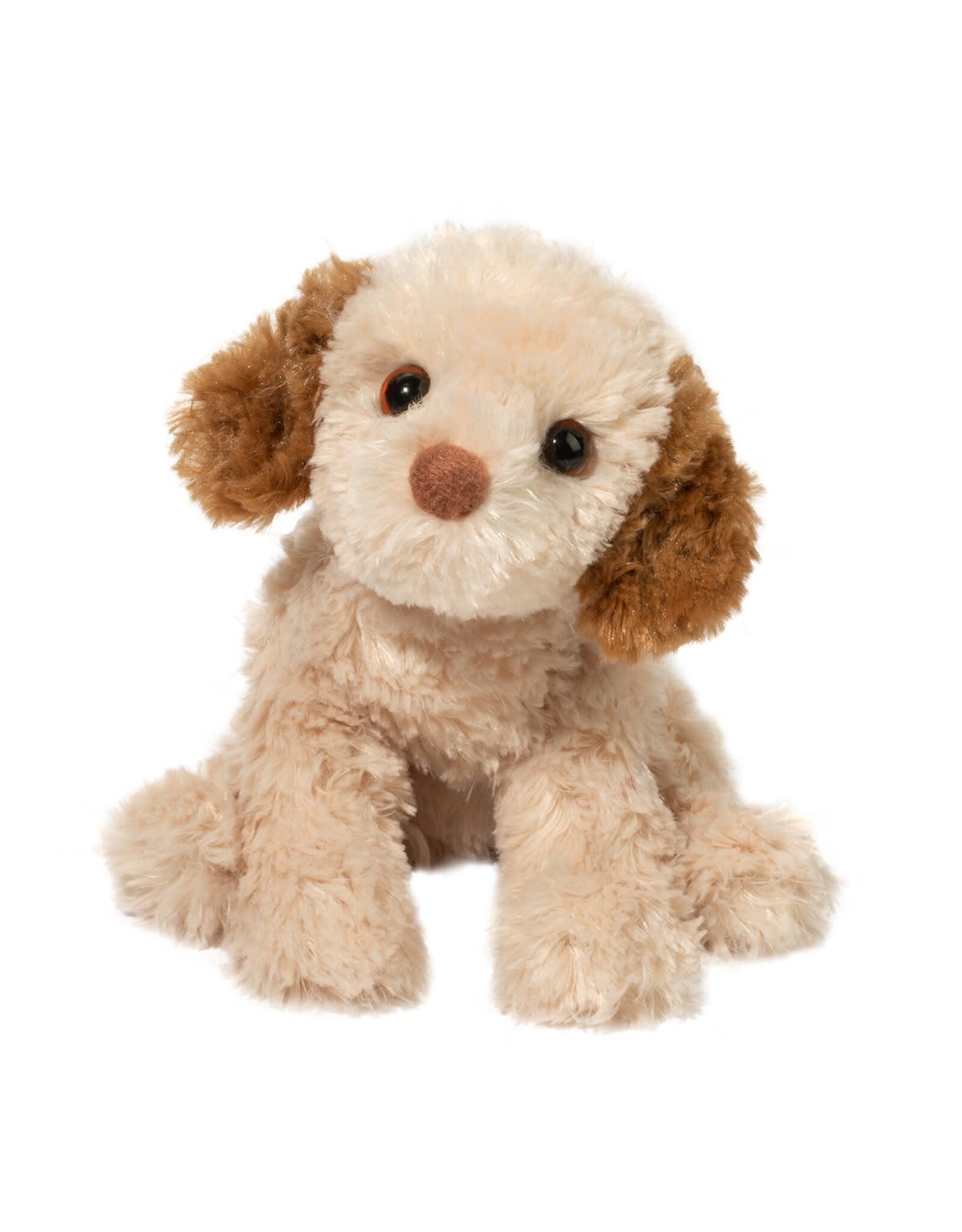 Douglas Biscuit Cavapoo