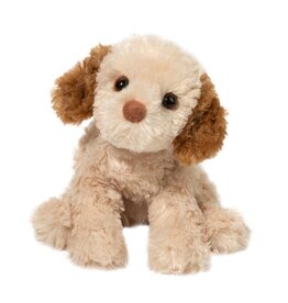 Douglas Biscuit Cavapoo