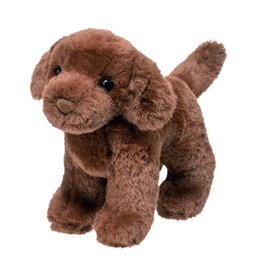 Douglas Sylvia Chocolate Lab