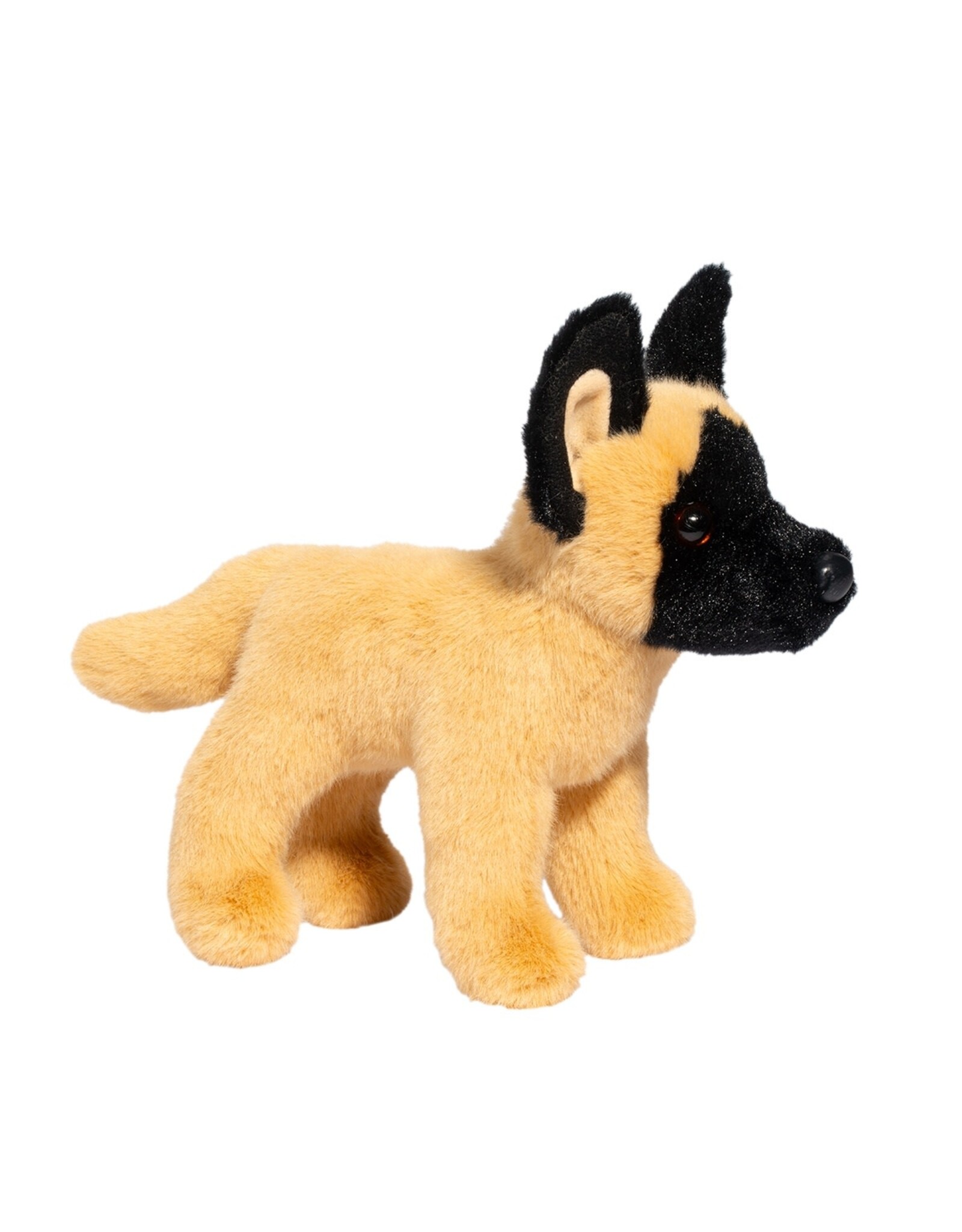 Douglas Brent Belgian Malinois