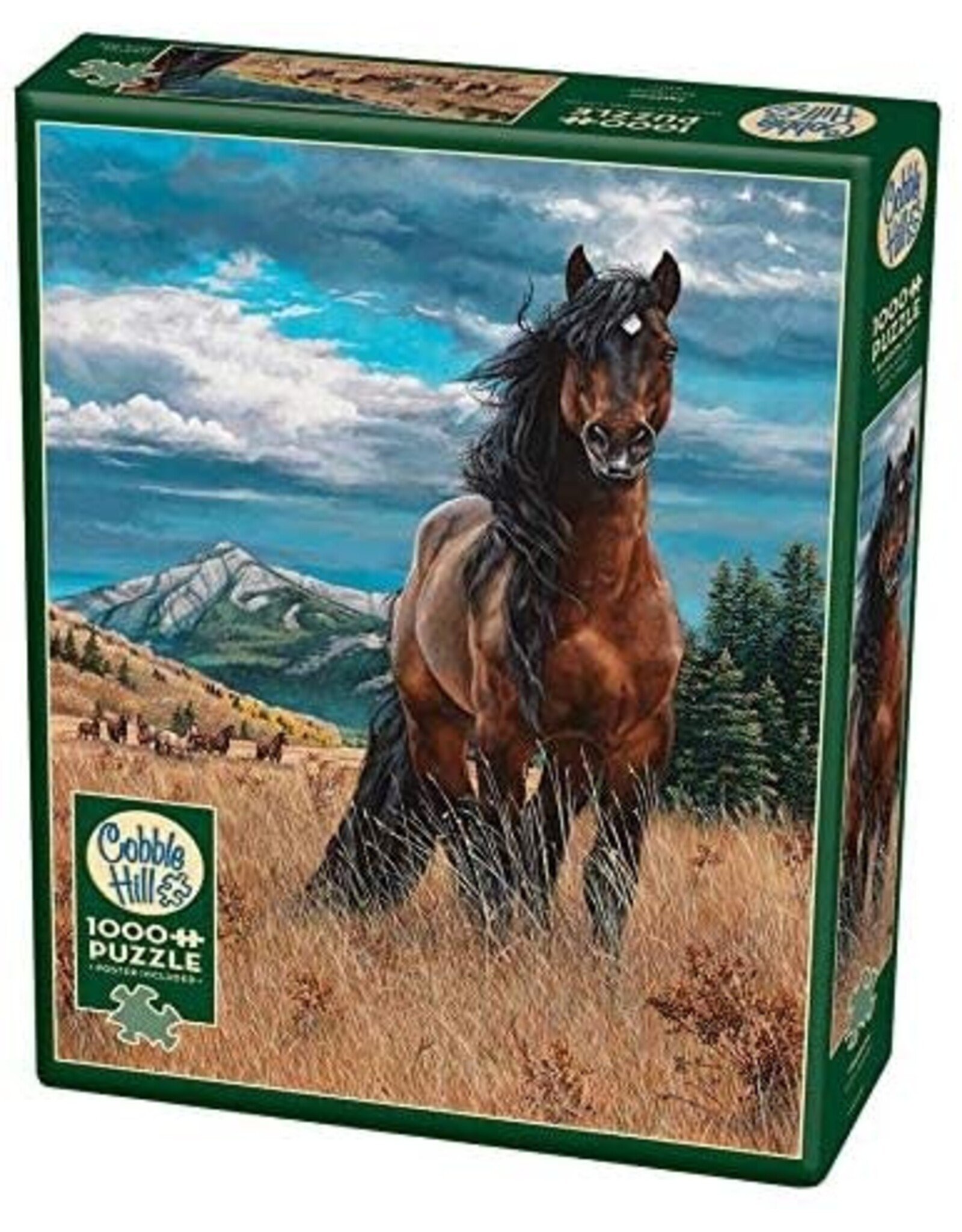 Cobble Hill Freedom 1000 pc