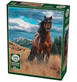 Cobble Hill Freedom 1000 pc