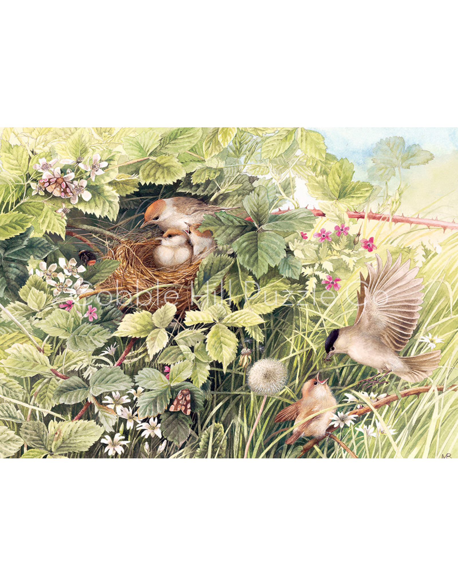 Cobble Hill Hidden Nest 1000 pc