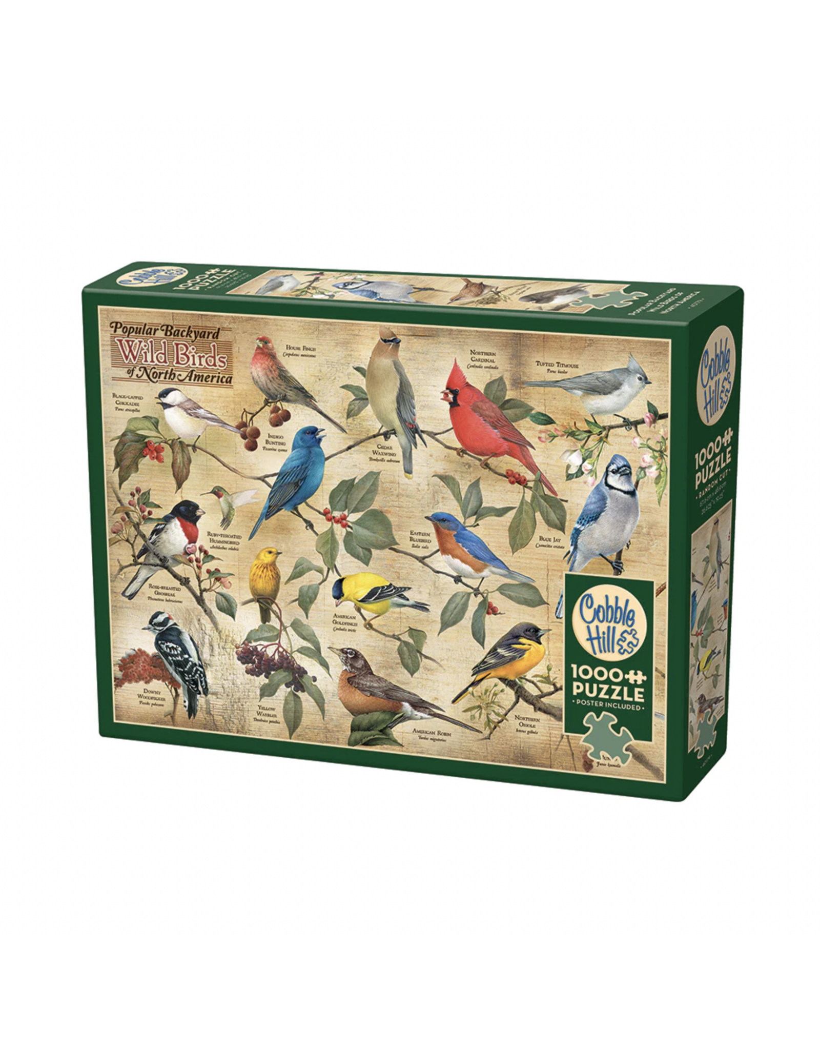 Cobble Hill Popular Backyard Wild Birds of North America 1000pc