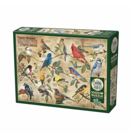 Cobble Hill Popular Backyard Wild Birds of North America 1000pc