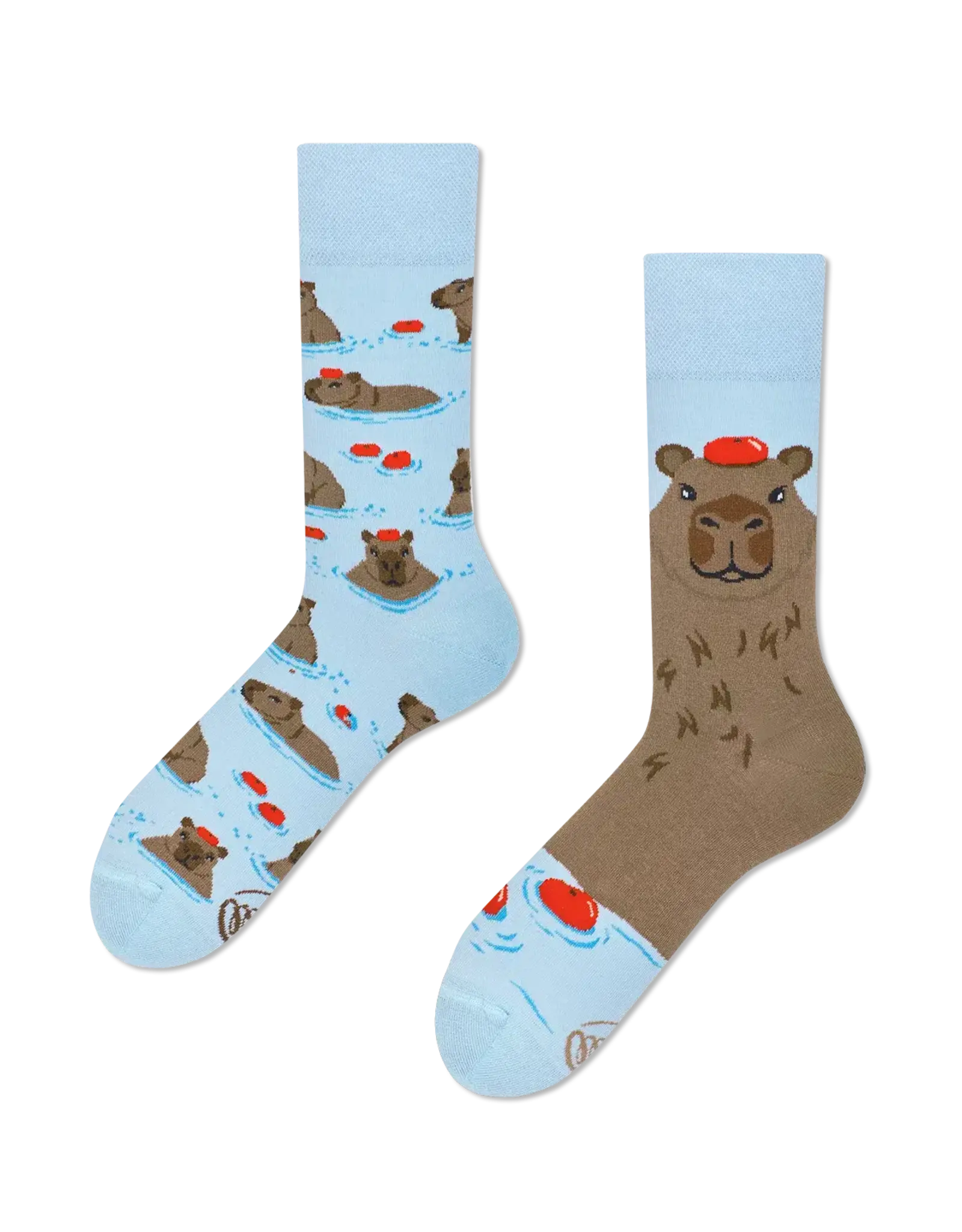 Many Mornings Capybara Crew Socks
