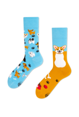 Many Mornings Playful Dog Corgi Crew Socks